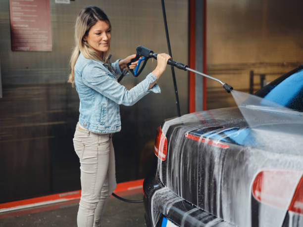 Best Pressure Washing Driveway  in Edinboro, PA